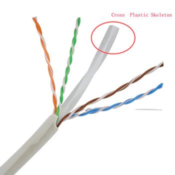 Cross Plastic Skeleton